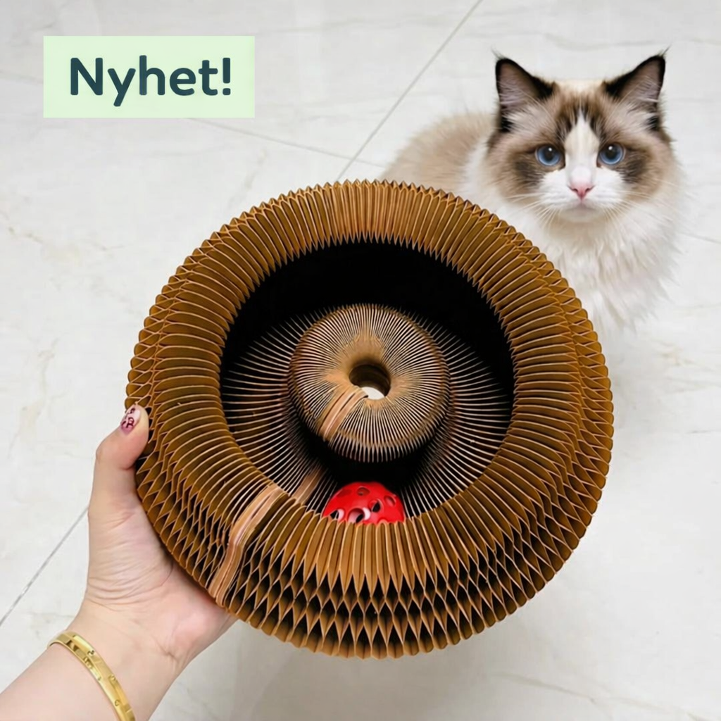 Jaktcirkelen