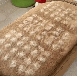 Magic Brush™ - Dyrehårfjerner for tekstiler