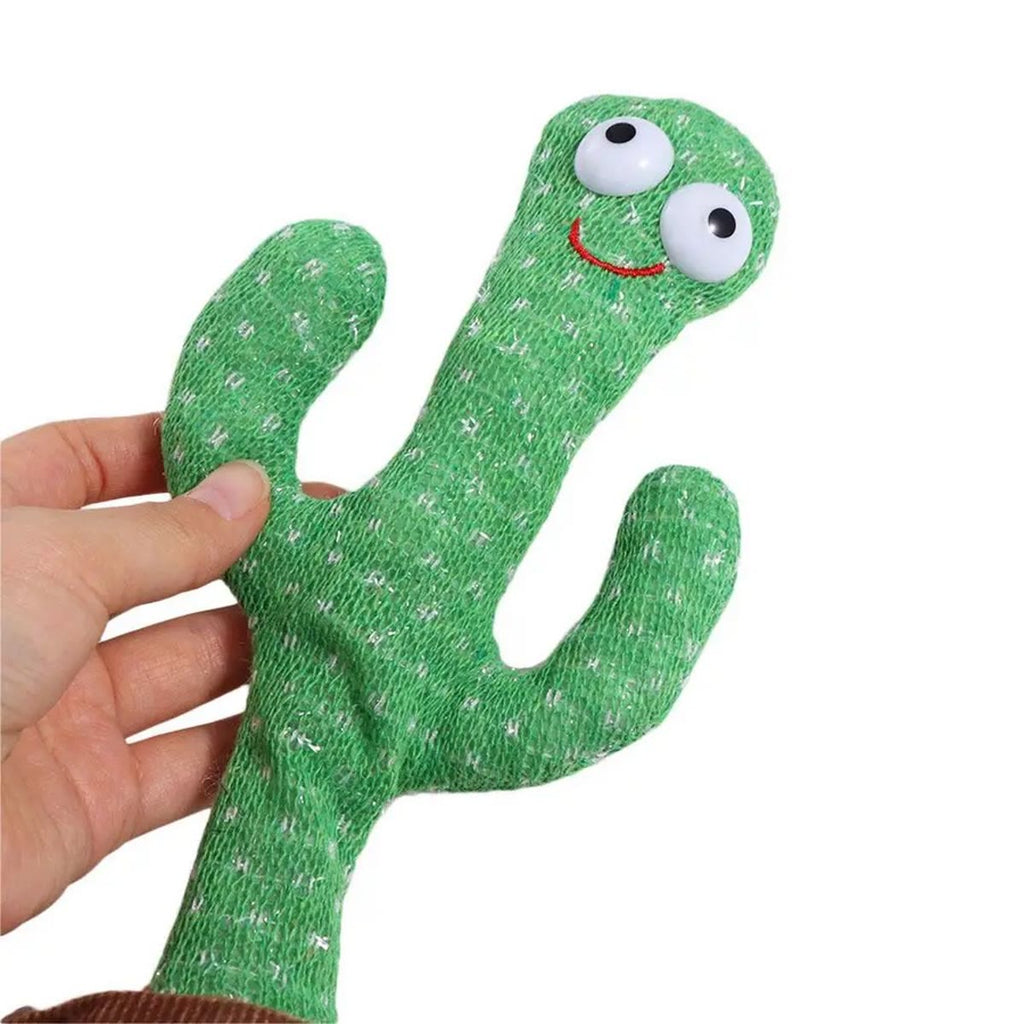 Kaktusen holdt i en hånd, uten potten