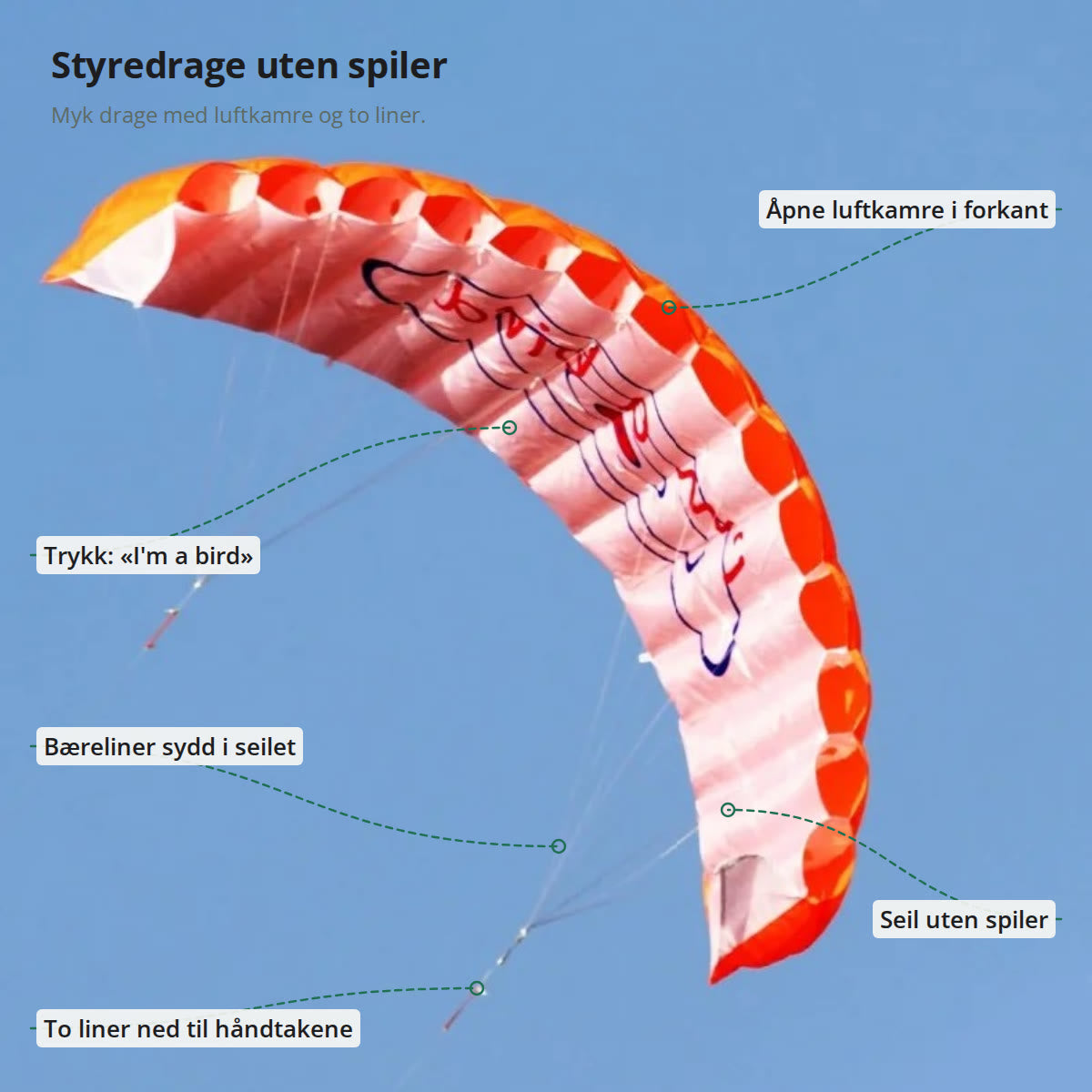 Oransje styredrage merket med åpne luftkamre, seil uten spiler, bæreliner, to liner ned til håndtakene og trykket «I'm a bird»
