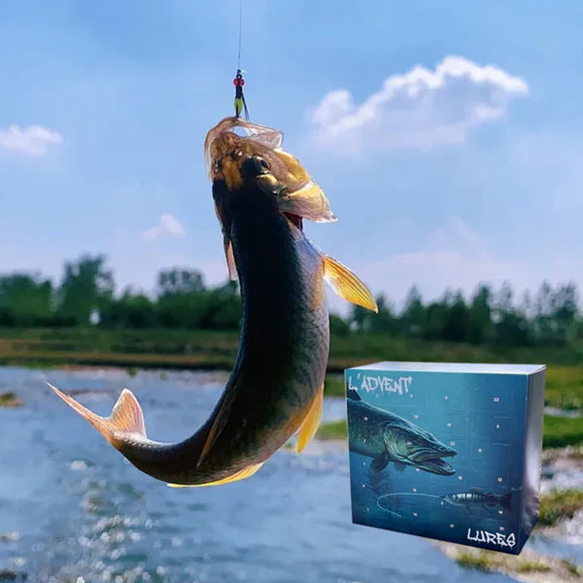 En fisk på kroken ved elvebredden, med fiske-julekalenderen ved siden av