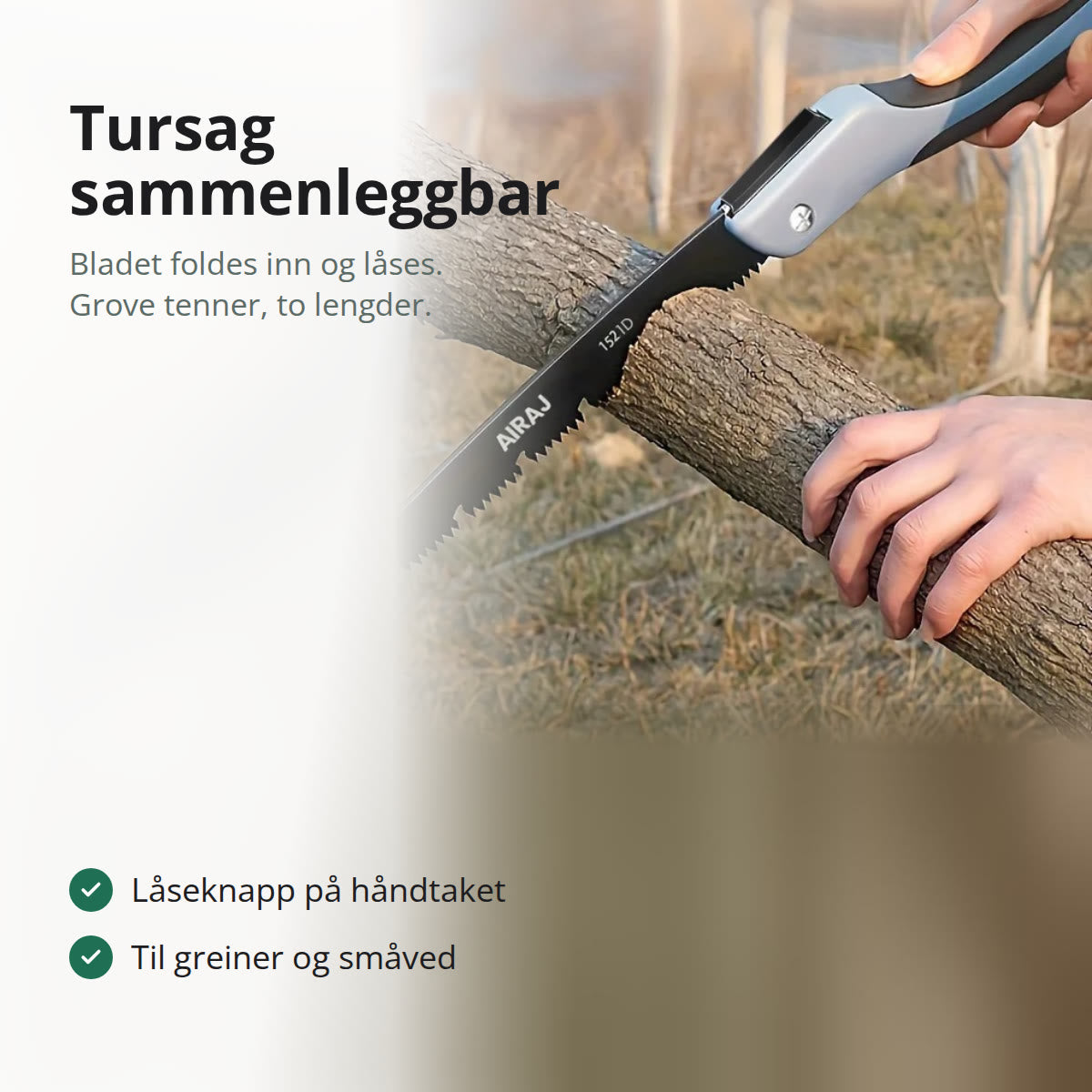 Sammenleggbar tursag som kapper en grein i en frukthage