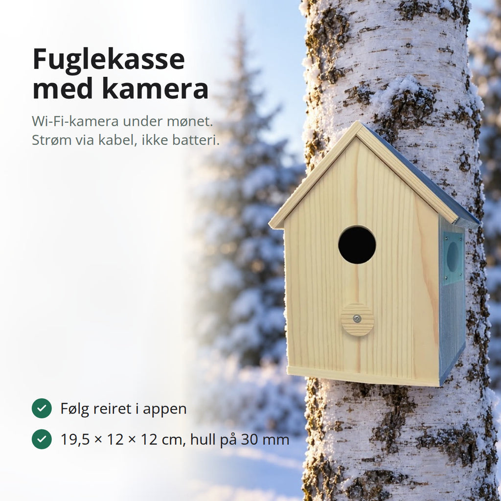 Fuglekasse i tre med saltak og rundt inngangshull, hengende på en bjørkestamme i en snødekt hage