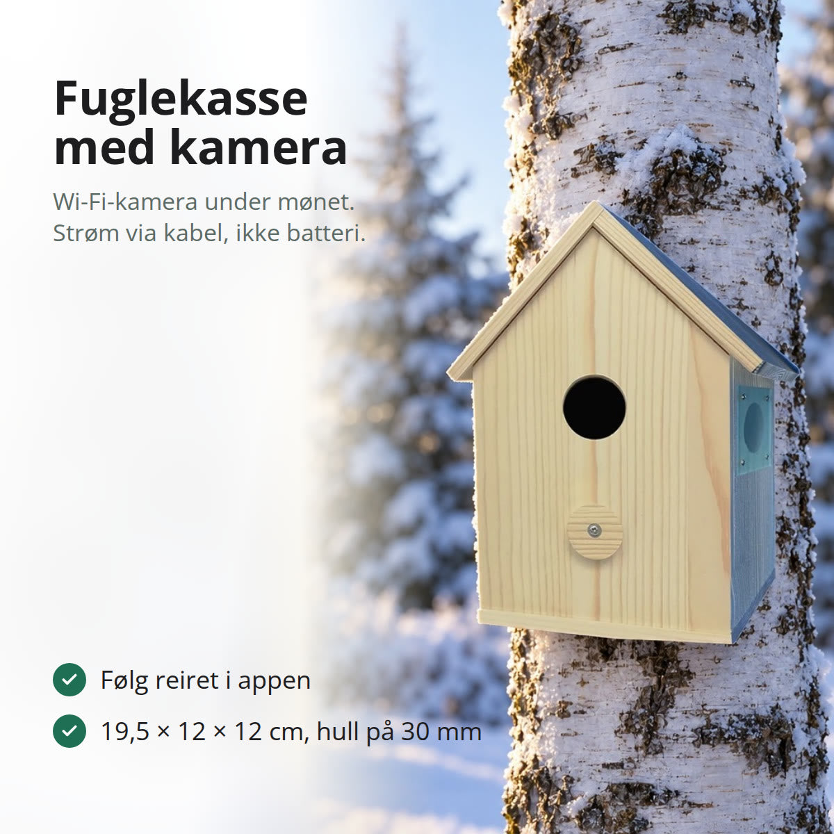 Fuglekasse i tre med saltak og rundt inngangshull, hengende på en bjørkestamme i en snødekt hage