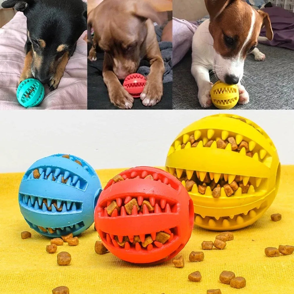 Hunder som leker med godbitballer, og tre baller fylt med tørrfôr
