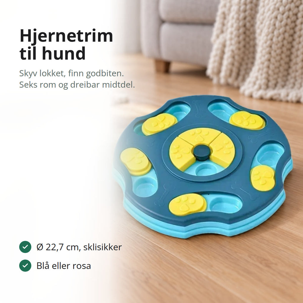 Blå aktivitetsleke til hund med gule skyvelokk på et tregulv i en stue