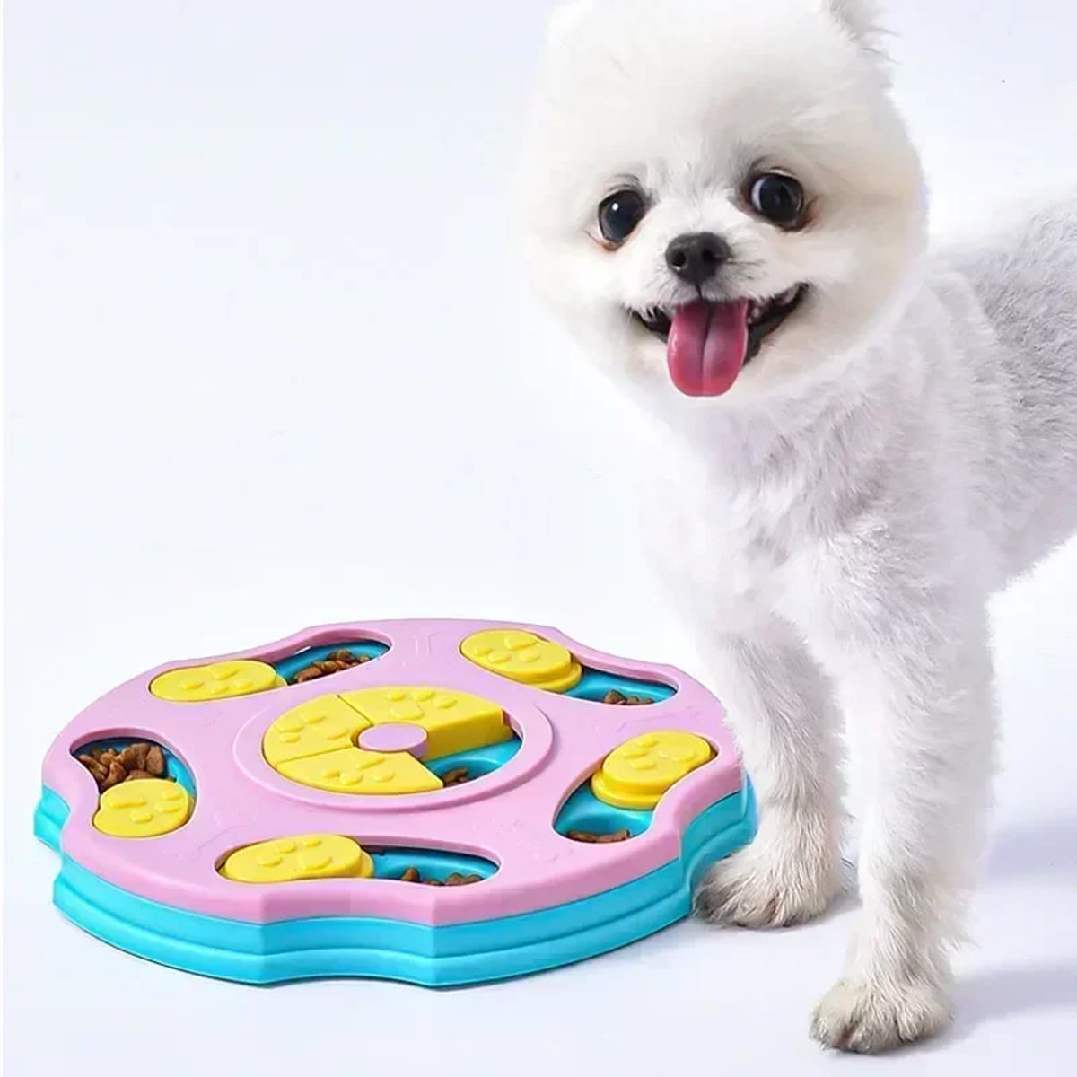 Glad hvit hund ved siden av den rosa aktivitetsleken
