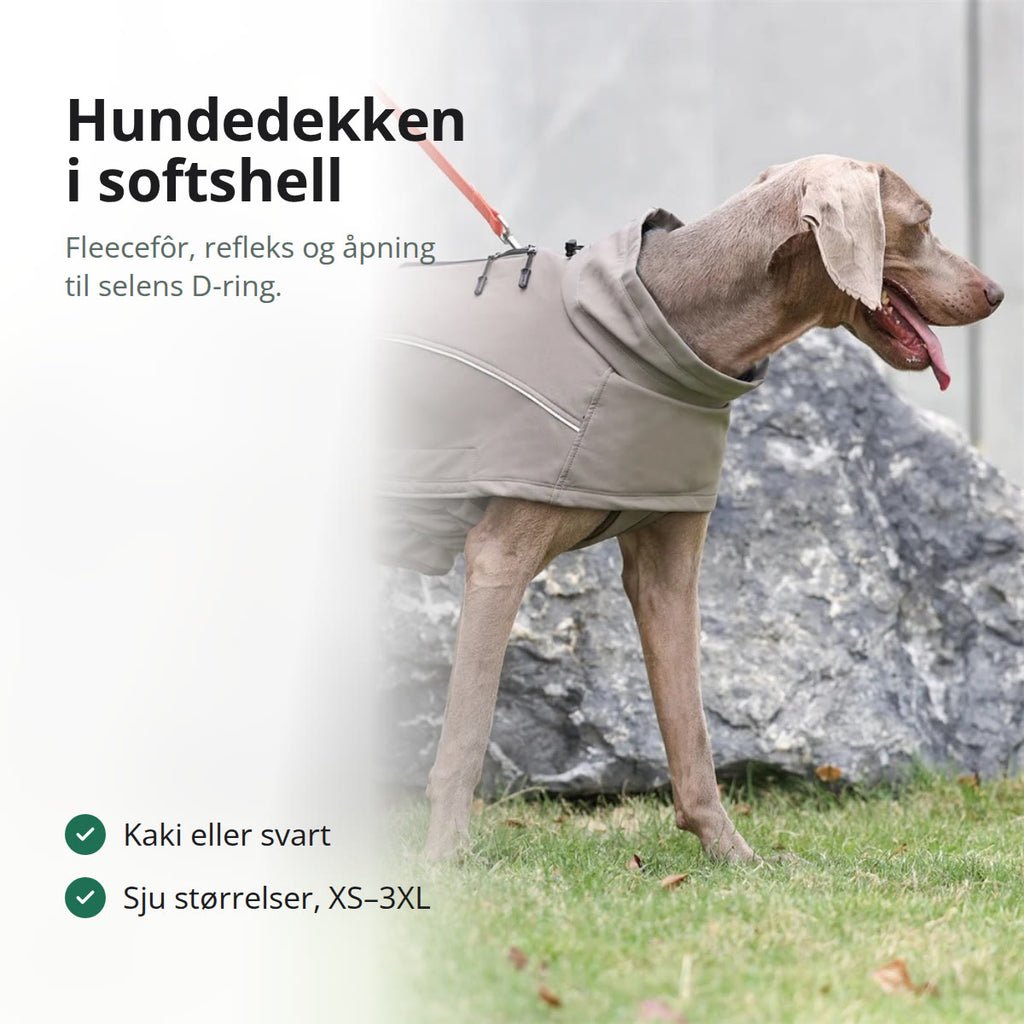Hund i kakifarget hundedekken med høy krage og refleks, bånd festet på ryggen