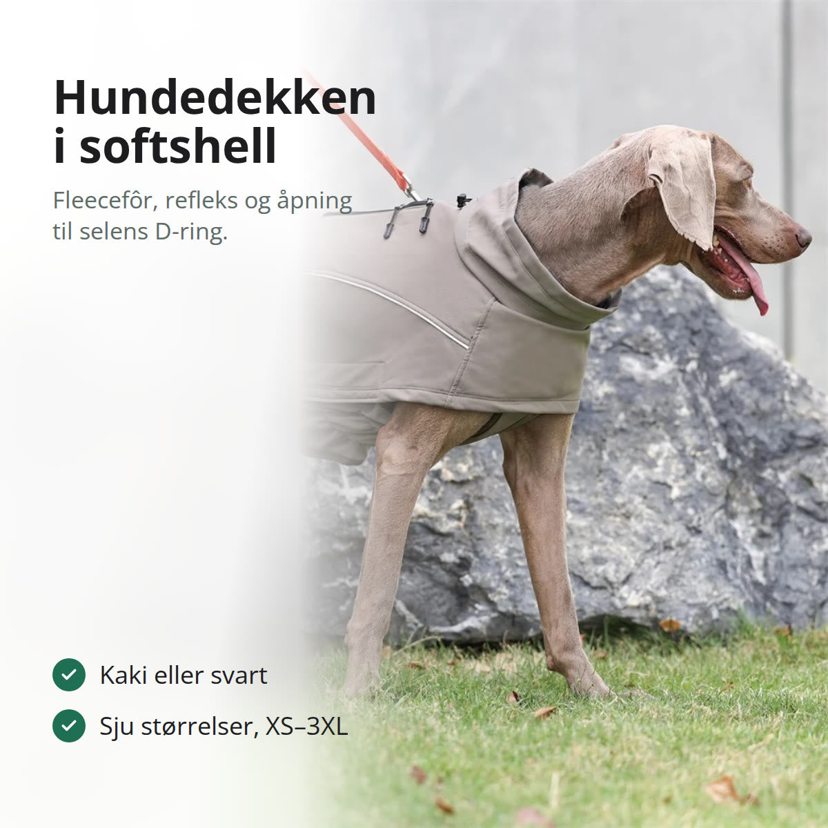 Hund i kakifarget hundedekken med høy krage og refleks, bånd festet på ryggen
