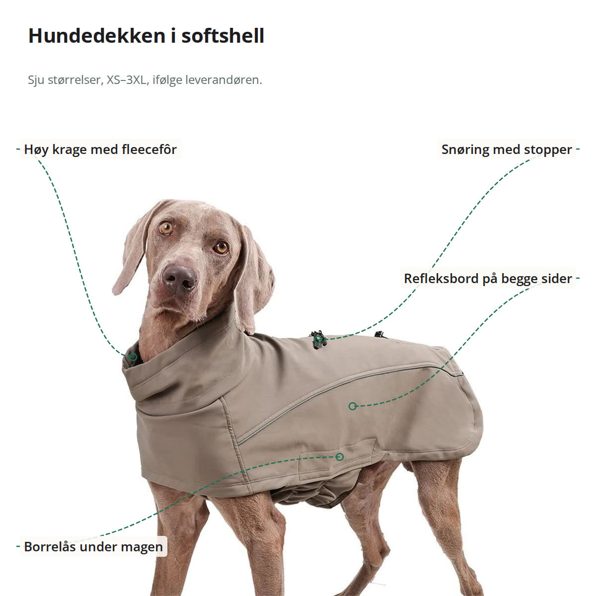Hund i kakifarget hundedekken, merket med høy krage med fleecefôr, snøring med stopper, refleksbord og borrelås under magen