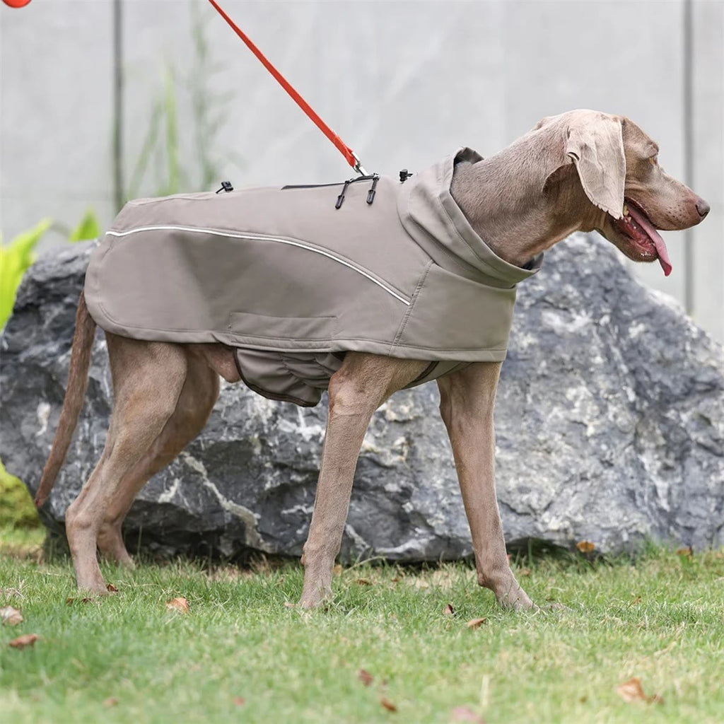 Hund i kakifarget hundedekken sett fra siden foran en stein, med refleksbord langs siden