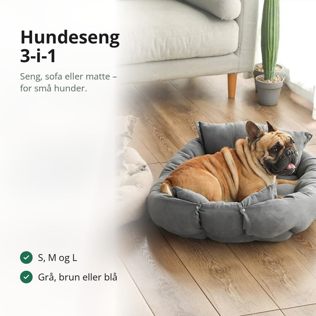 En fransk bulldog og en schnauzer som ligger i hver sin myke hundeseng på et tregulv