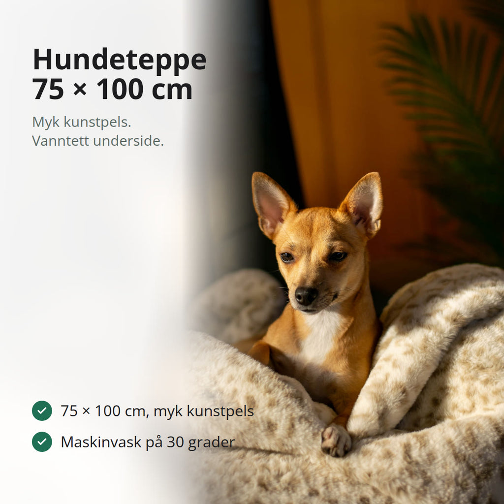Hundeteppe i leopardmønstret kunstpels i kremfarge, lagt over en lys sofa