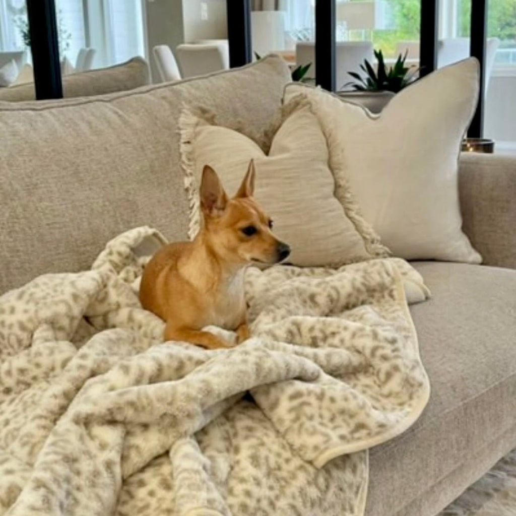 Teppet ligger utbrettet over en beige sofa med en liten hund oppå
