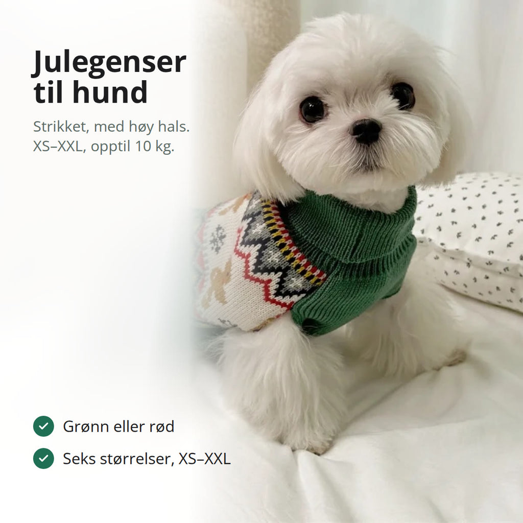 Liten hvit hund i grønn julegenser med pepperkakemenn og høy hals