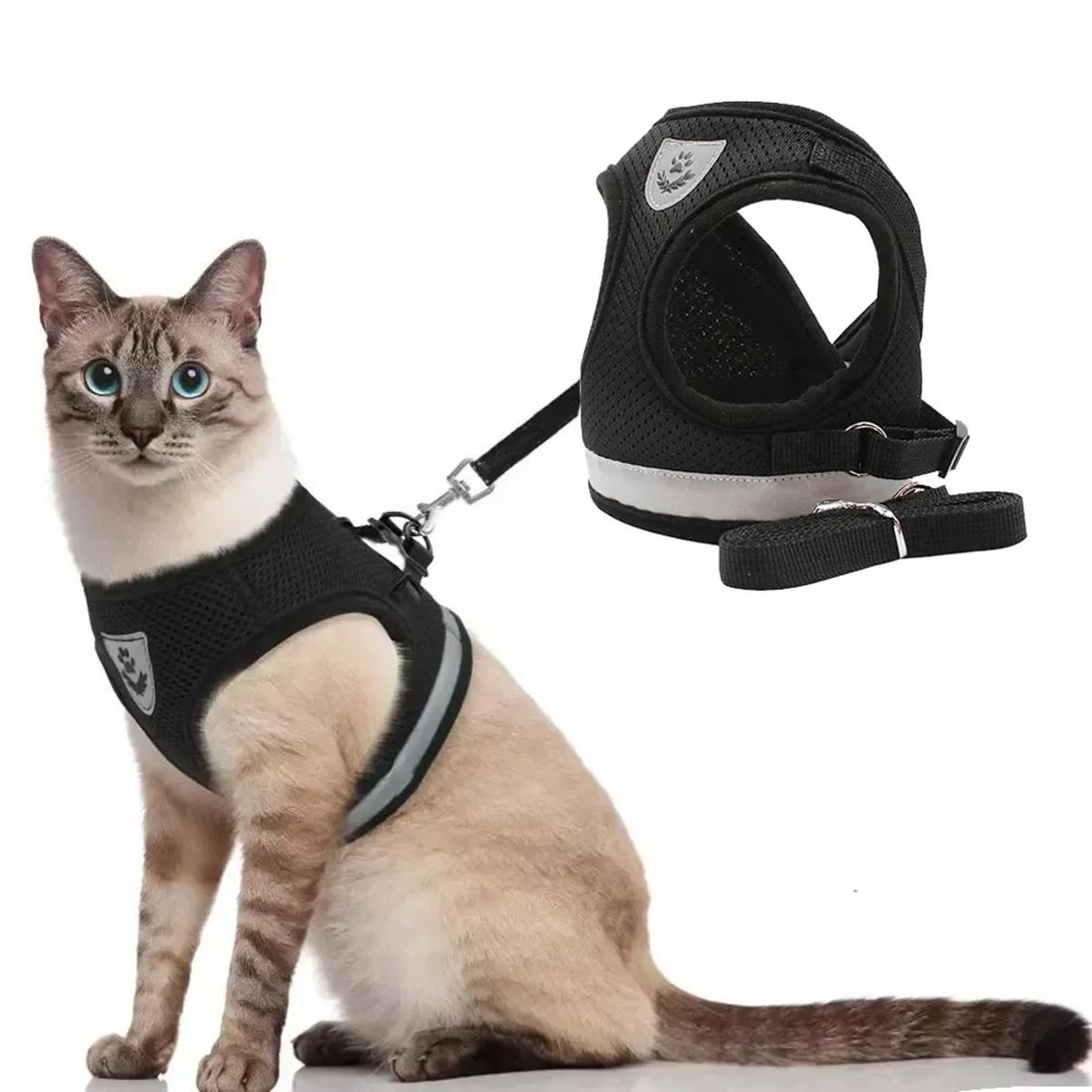 Katt i svart kattesele med refleksstripe og bånd, ved siden av selen alene