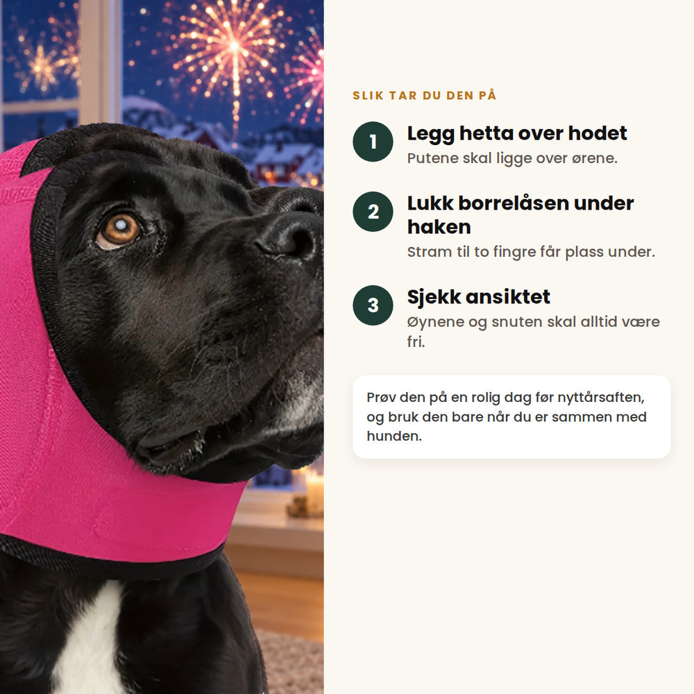 Slik tar du på Hetta: legg den over hodet, lukk borrelåsen under haken og sjekk at øynene og snuten er fri