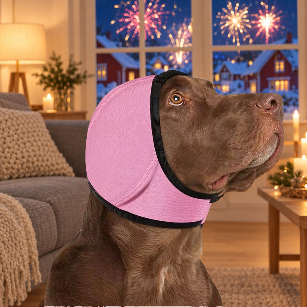 Brun labrador med rosa Hetta-ørehette i stua på nyttårsaften
