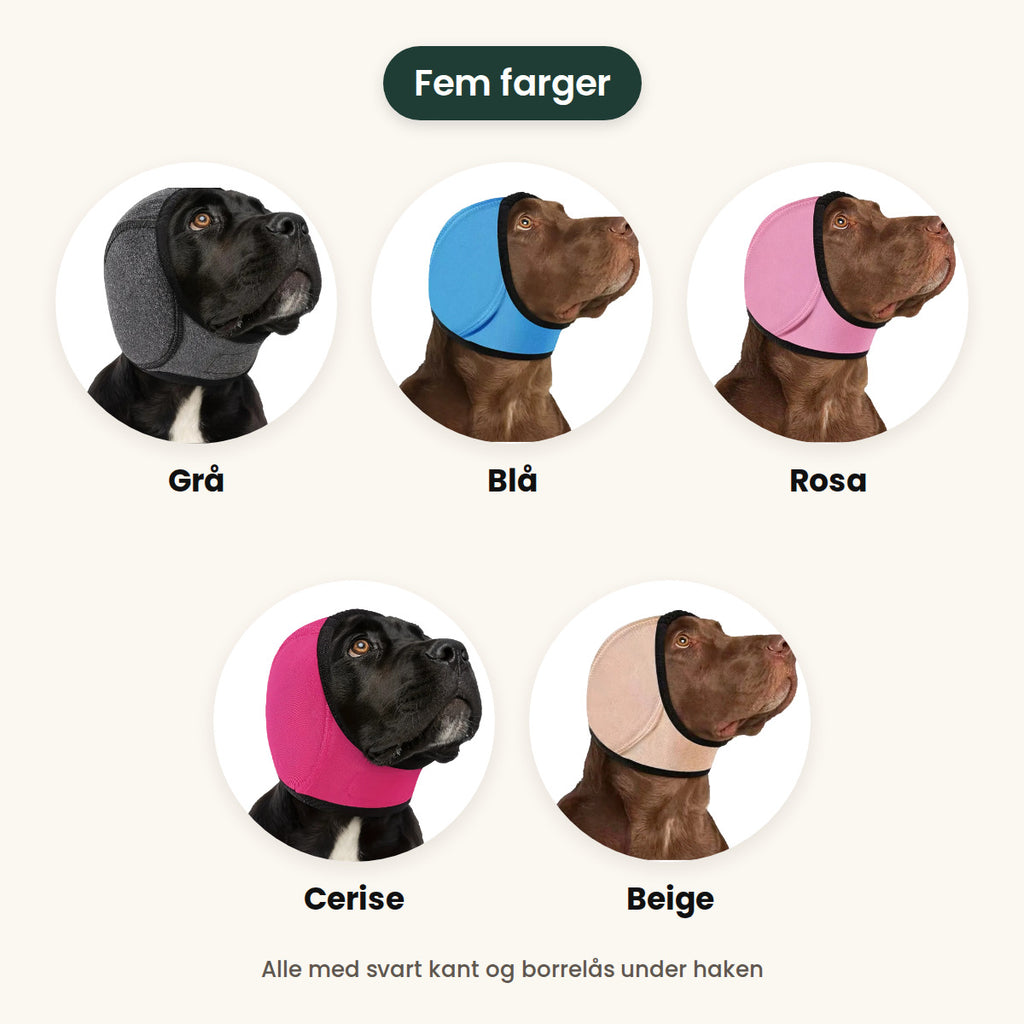 Hetta i fem farger: grå, blå, rosa, cerise og beige