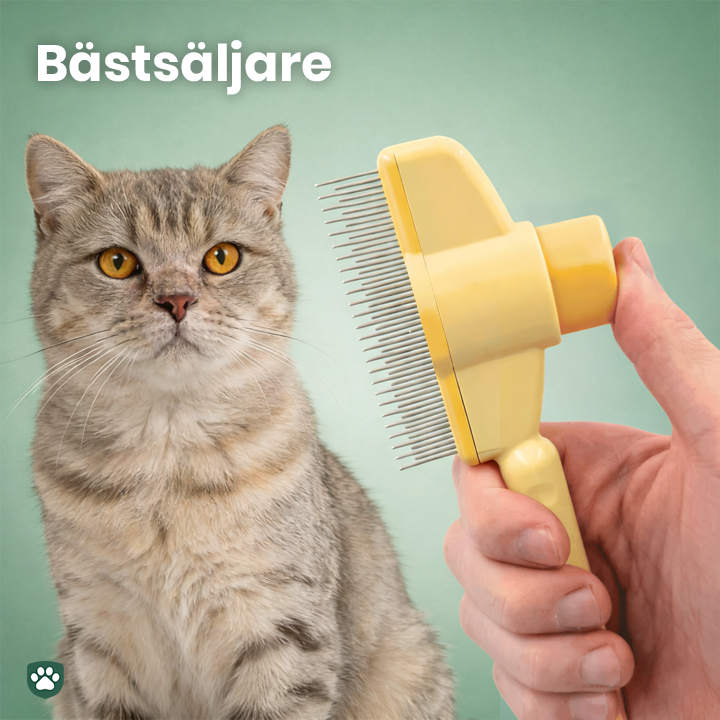 PälsFix™ – Enklere pelsbytte for deg og katten din