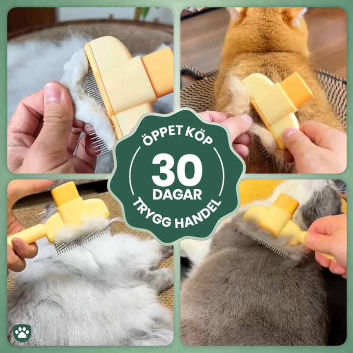 PälsFix™ – Enklere pelsbytte for deg og katten din