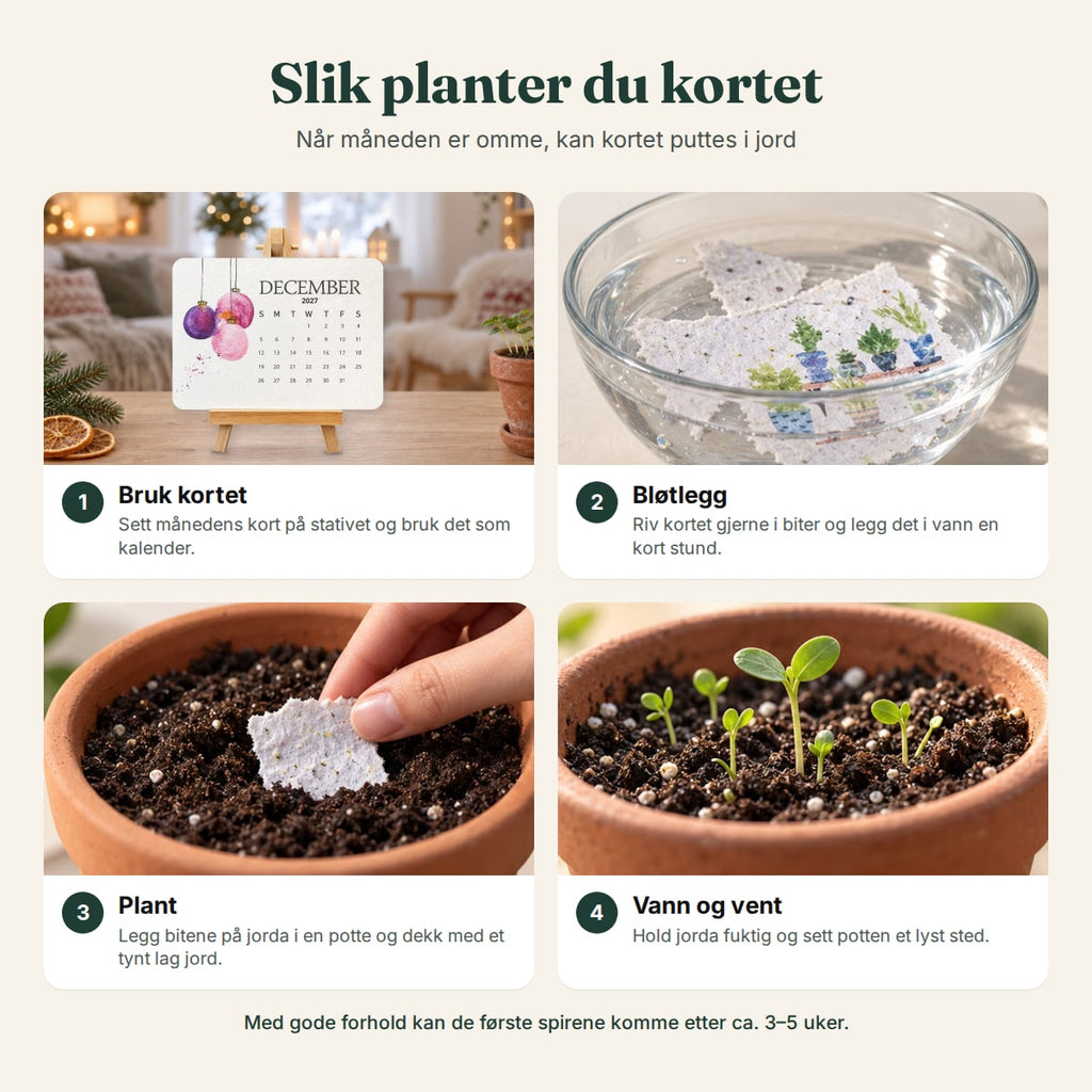 Slik planter du kortene fra frøkalenderen, steg for steg