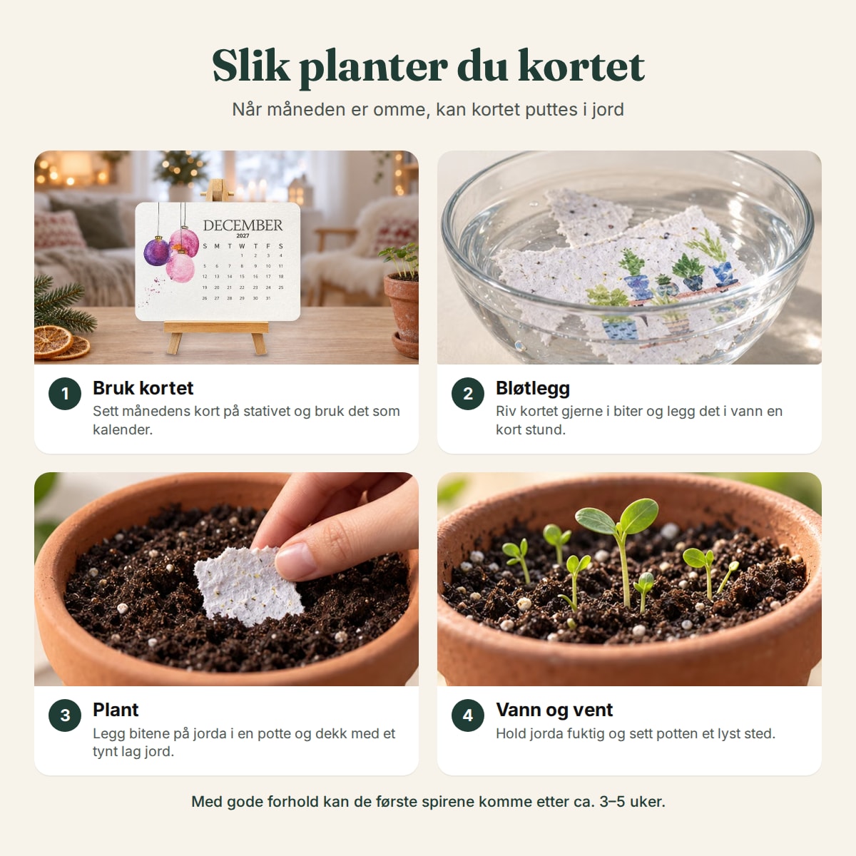 Slik planter du kortene fra frøkalenderen, steg for steg