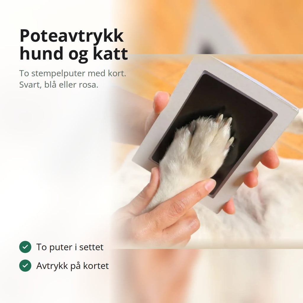 Hvit hundepote presset mot en stempelpute til poteavtrykk