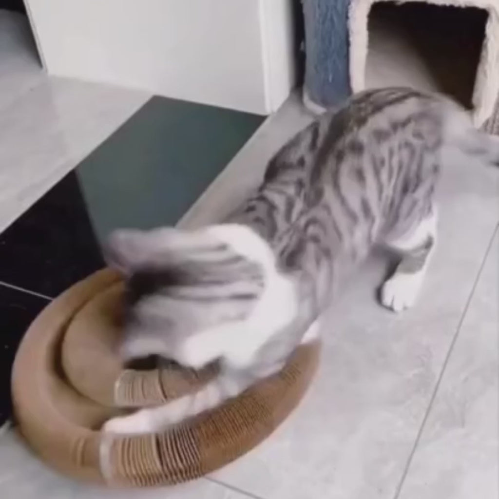 Jaktcirkelen