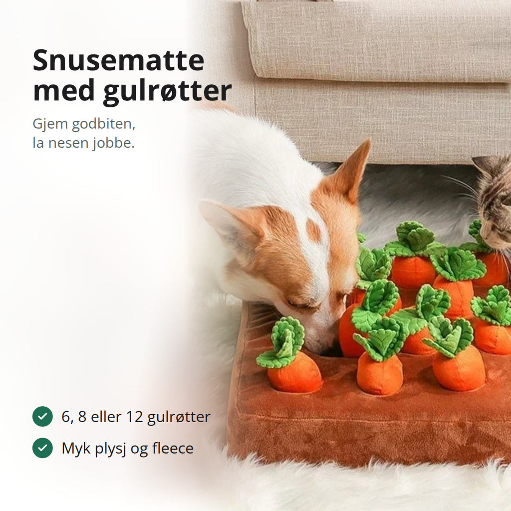 En hund og en katt som snuser på en snusematte i plysj med gulrøtter på et hvitt teppe