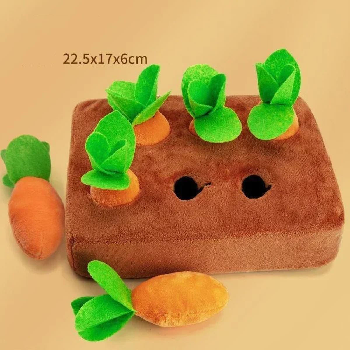 Snusematten med seks gulrøtter, målt til 22,5 × 17 × 6 cm