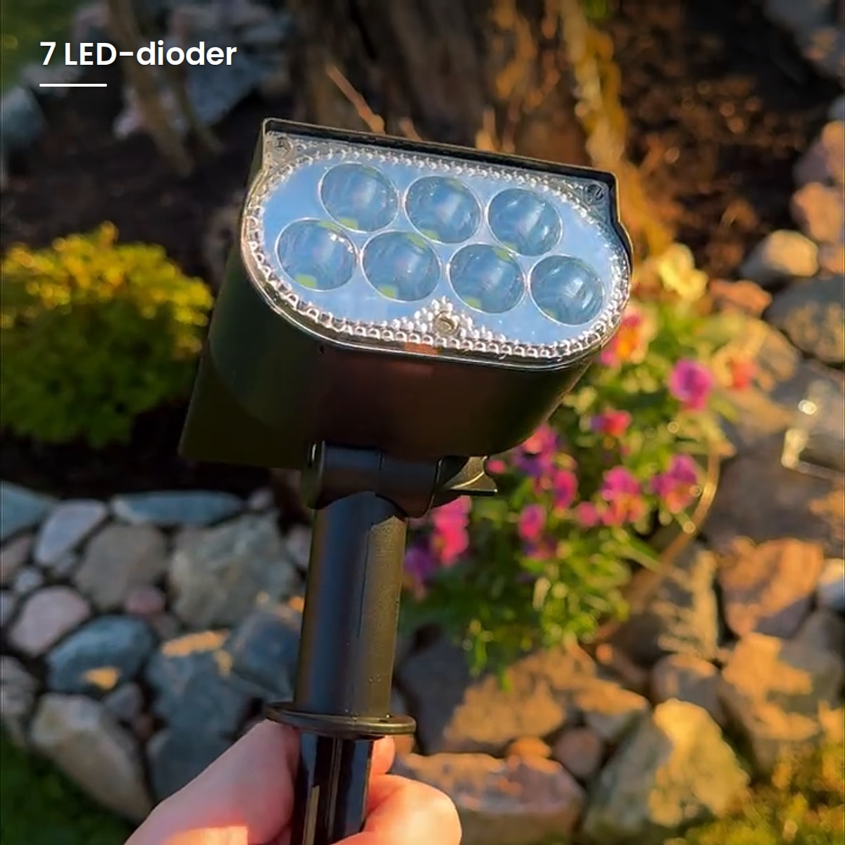 7 LED-dioder bak klart glass
