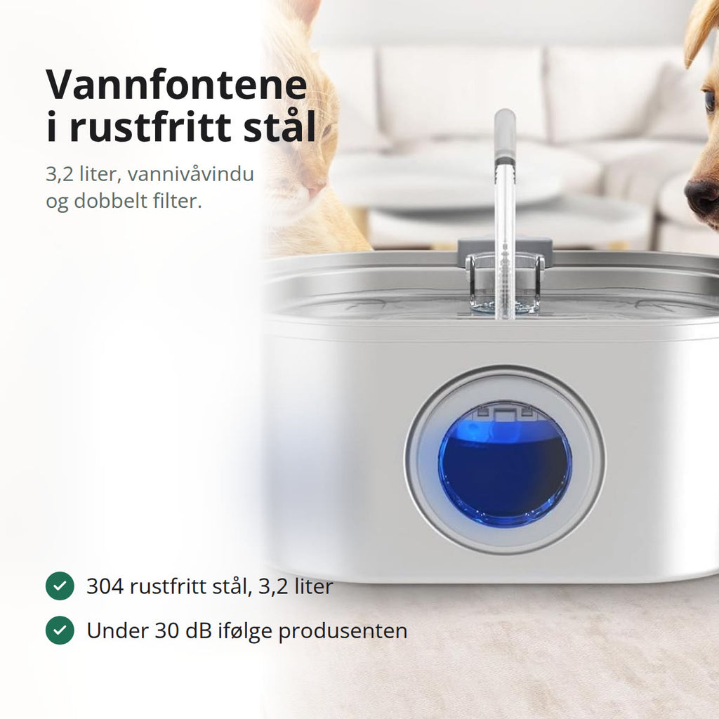Katt og hund står ved vannfontenen i rustfritt stål på gulvet i en stue
