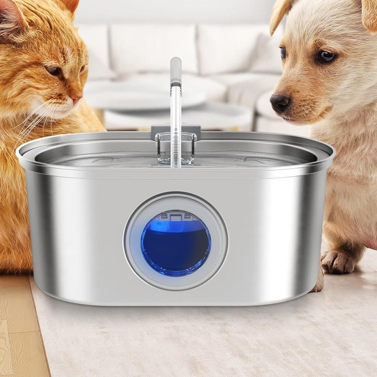 Katt og hund står ved vannfontenen i rustfritt stål på gulvet i en stue