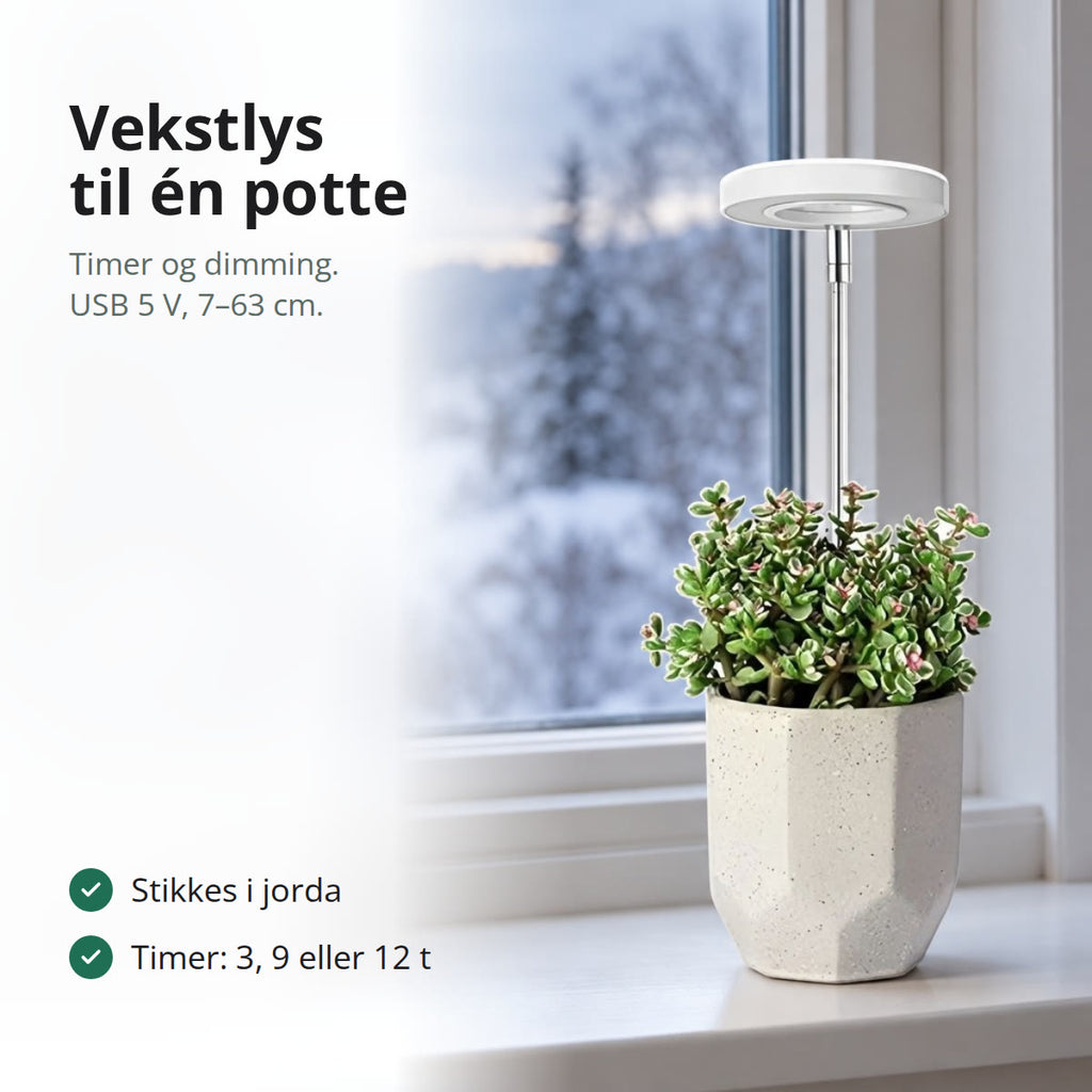 Vekstlys med LED-ring på teleskopstang over en potteplante i et vindu med snø utenfor