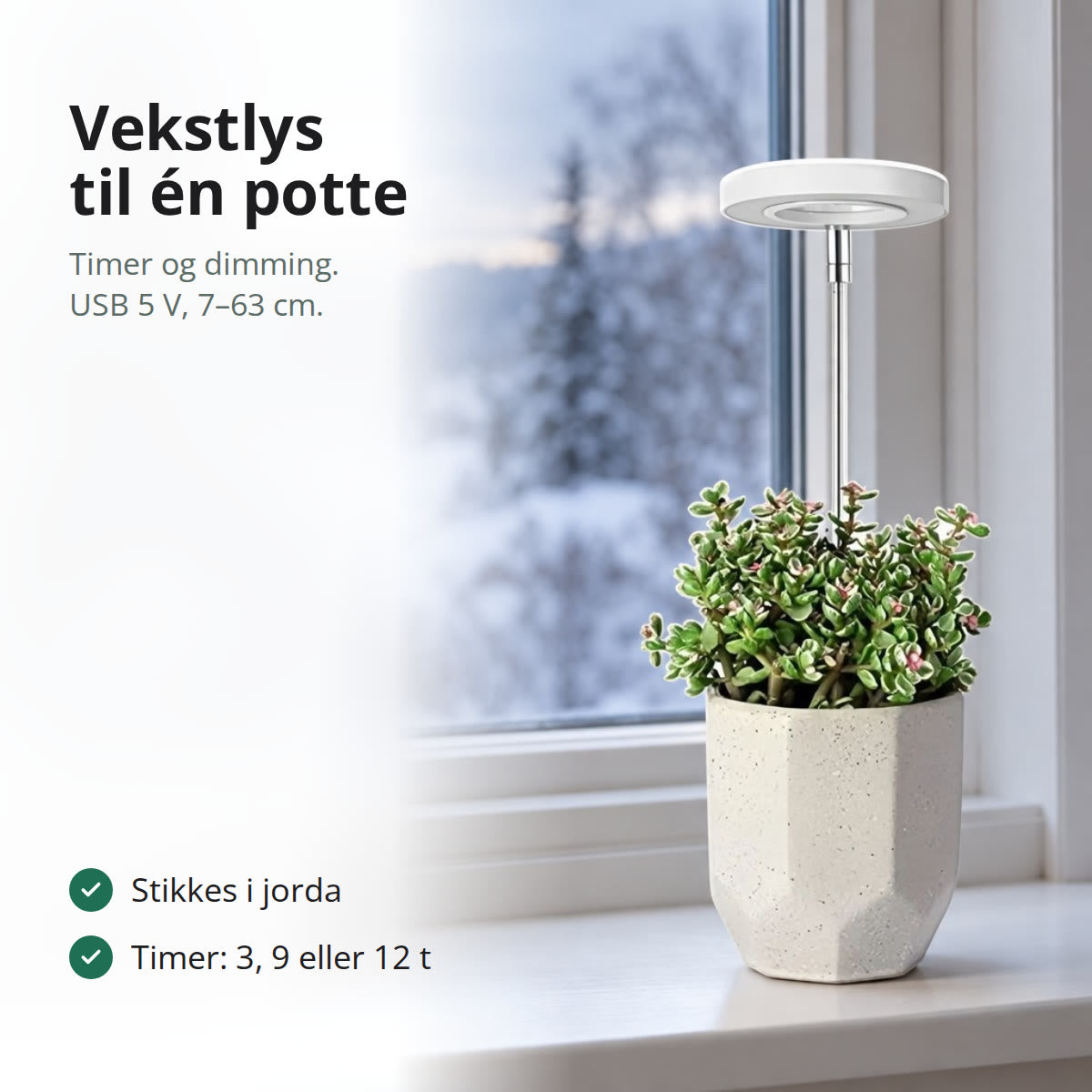 Vekstlys med LED-ring på teleskopstang over en potteplante i et vindu med snø utenfor